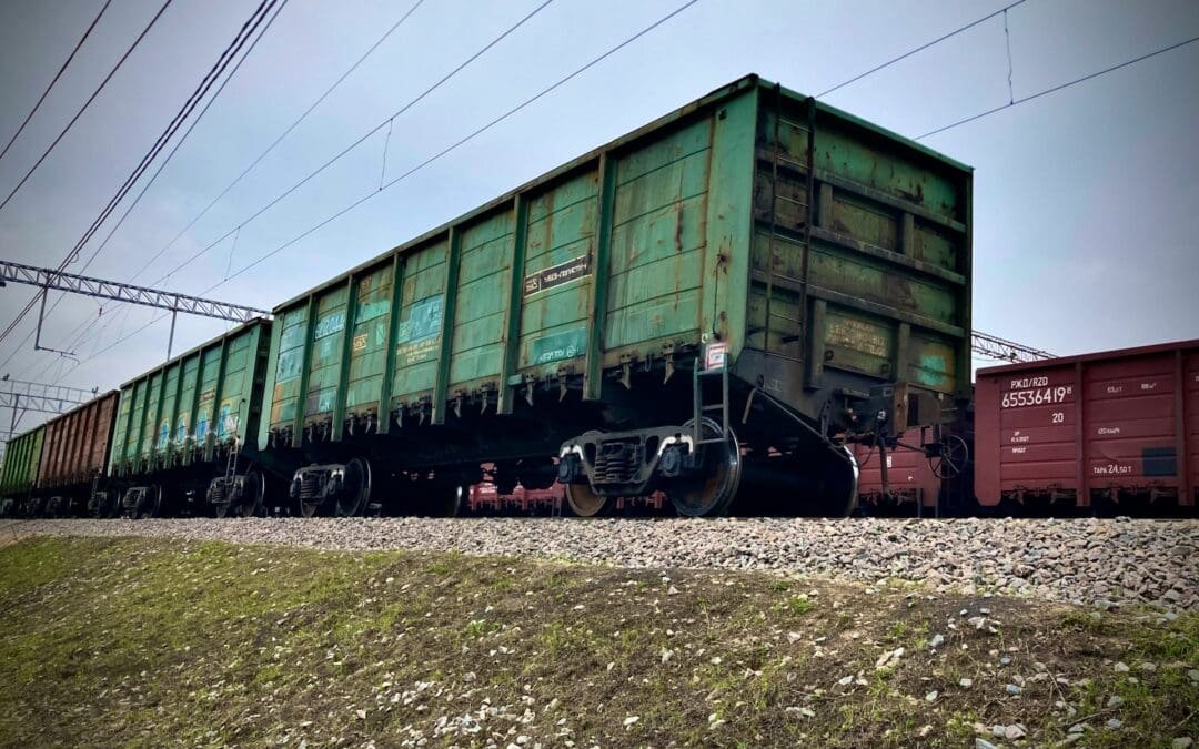 Track Sharing Challenges in Rail Transport